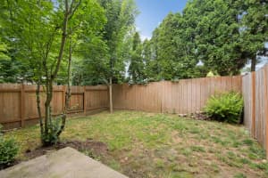 Private fenced backyard with lawn and mature trees at Roberts Court Townhomes