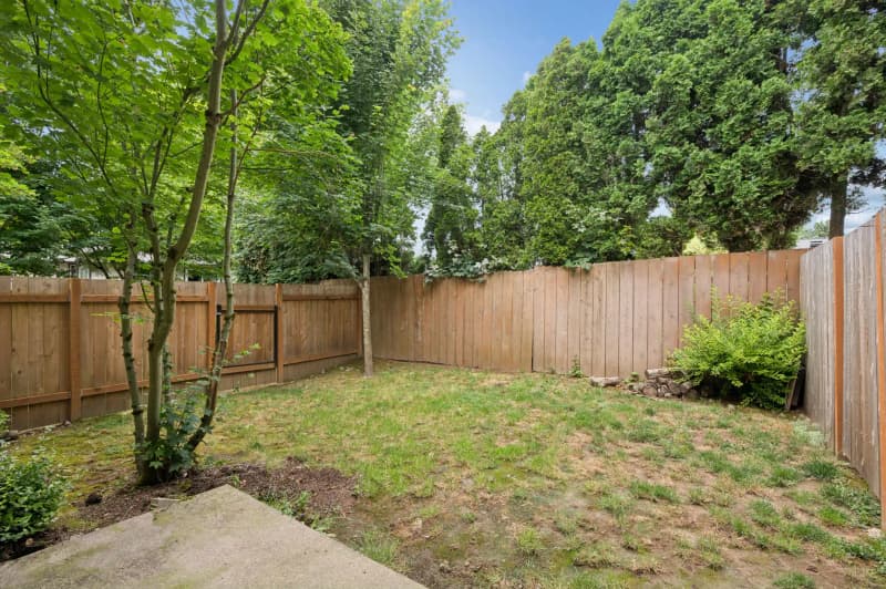 Private fenced backyard with lawn and mature trees at Roberts Court Townhomes